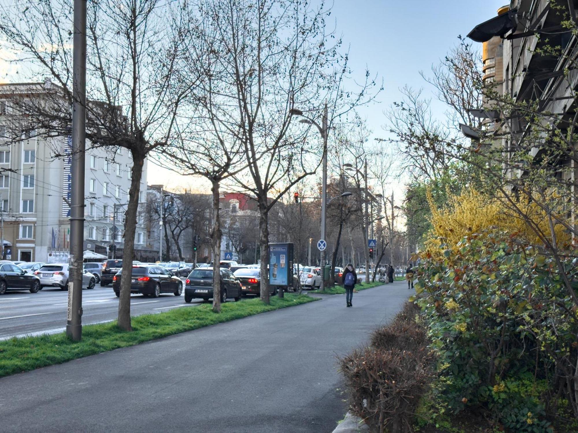 Central Retreat Apartments Бухарест Екстер'єр фото